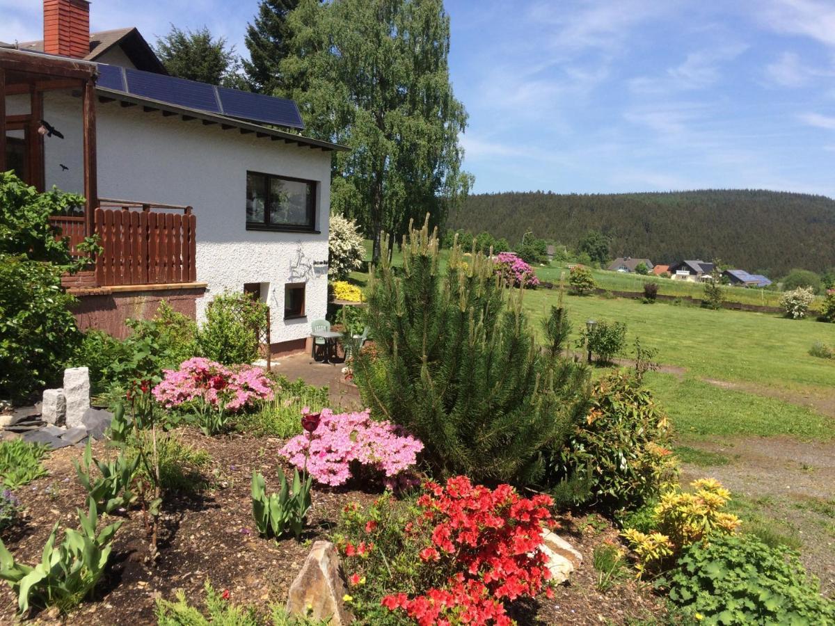 Haus Am Wald - Urlaub Am Nationalpark Leilighet Langweiler  Eksteriør bilde