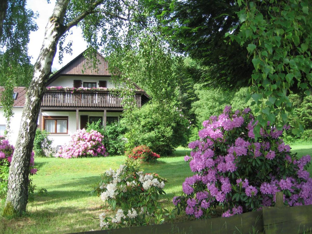Haus Am Wald - Urlaub Am Nationalpark Leilighet Langweiler  Eksteriør bilde