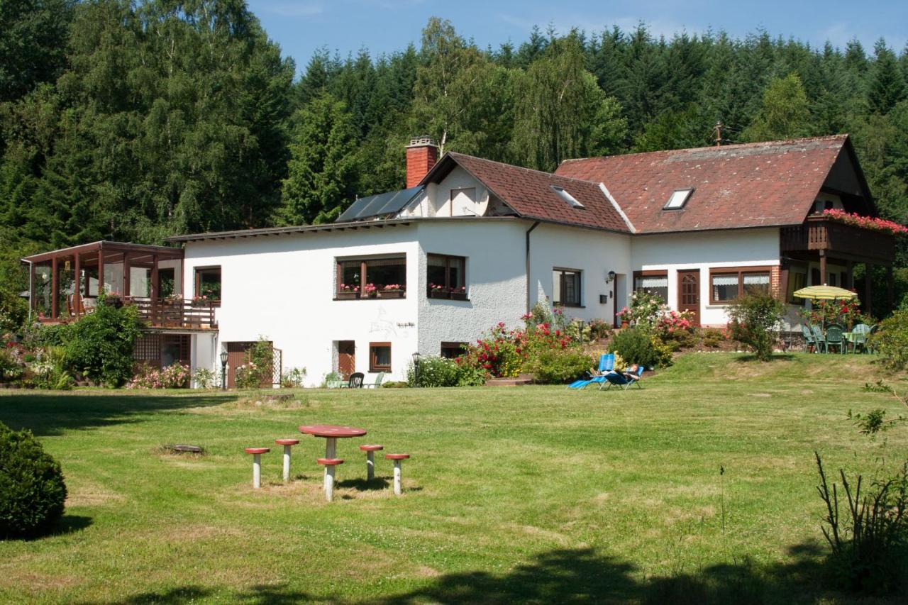Haus Am Wald - Urlaub Am Nationalpark Leilighet Langweiler  Eksteriør bilde